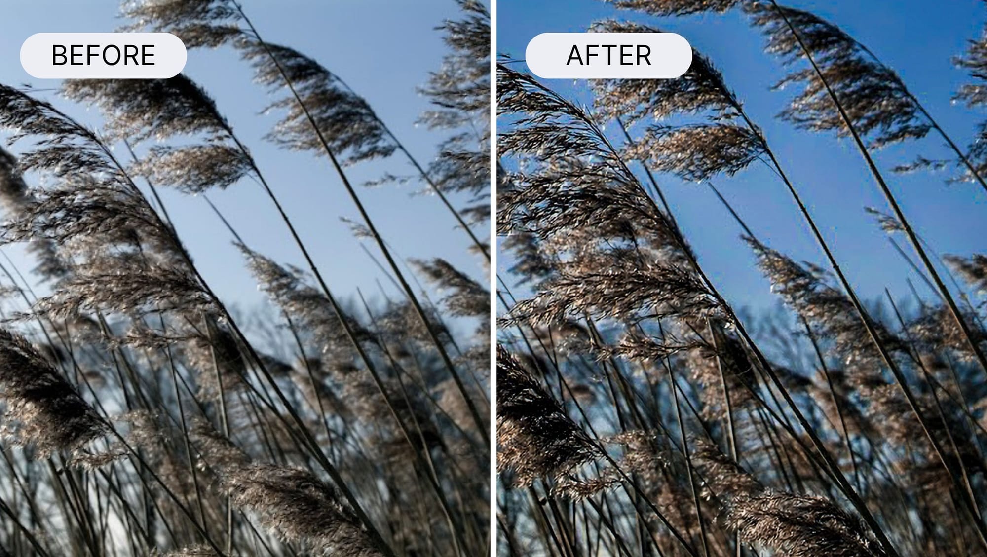 before‑and‑after of blur correction using Lightroom