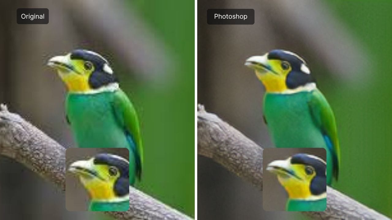 Comparison between original compressed JPEG and Photoshop-restored version