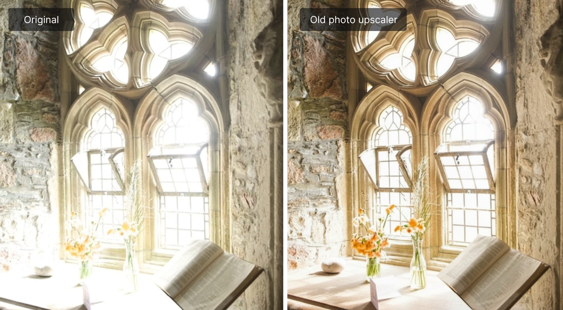 Recovering detail in overexposed photo using Old Photo model