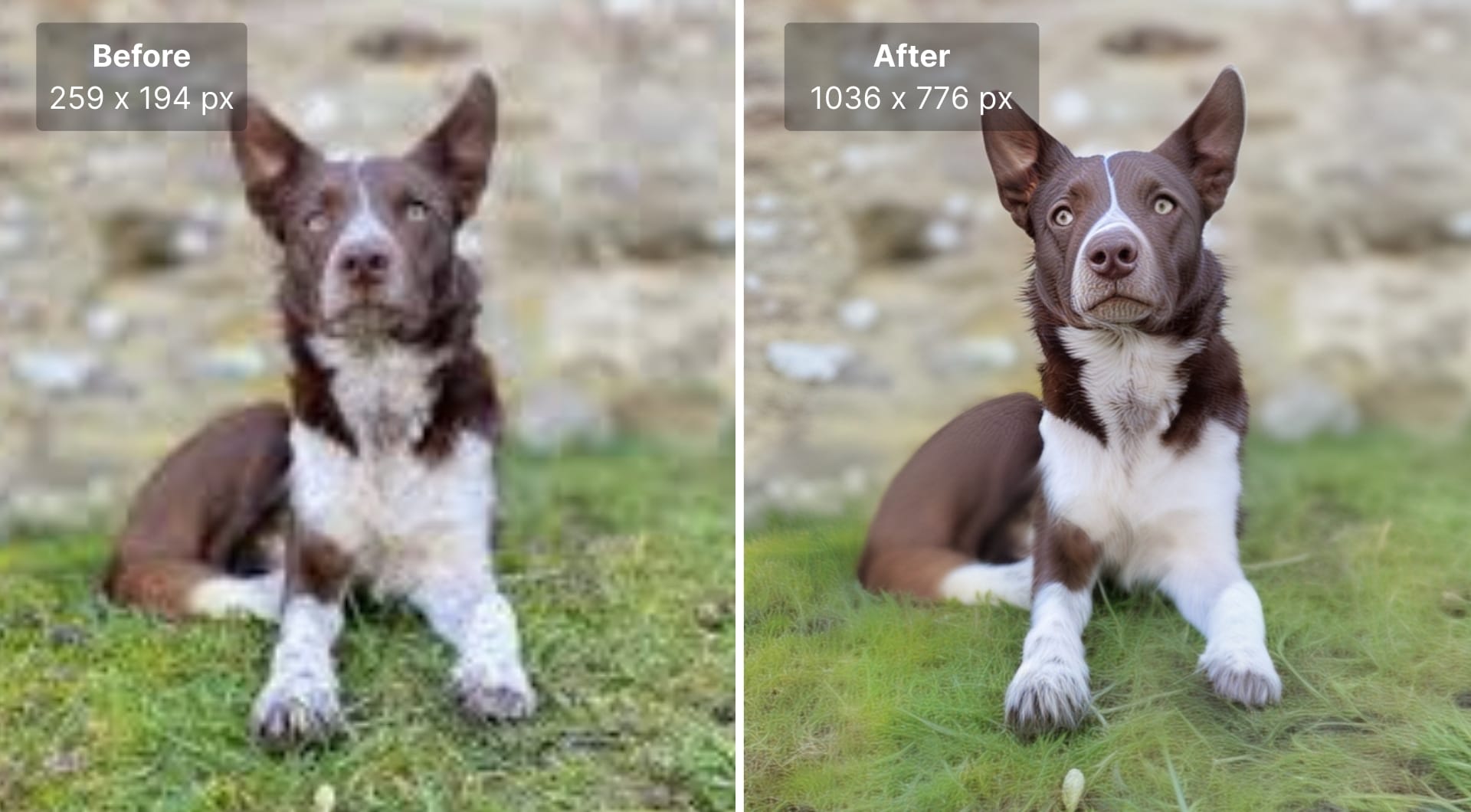How to fix and improve mobile photo quality with AI (2025 Guide)