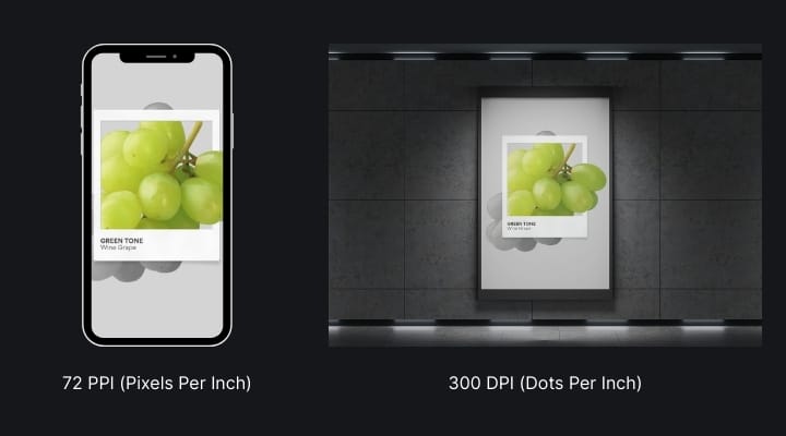 Comparison of the grape image on a phone at 72 PPI and a poster at 300 DPI.