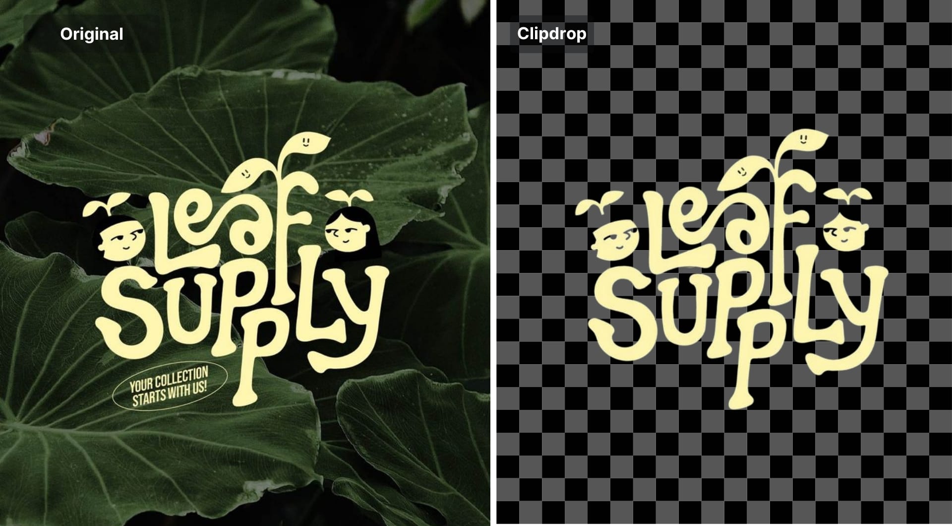 “Leaf Supply” graphic cut out from a leaf background