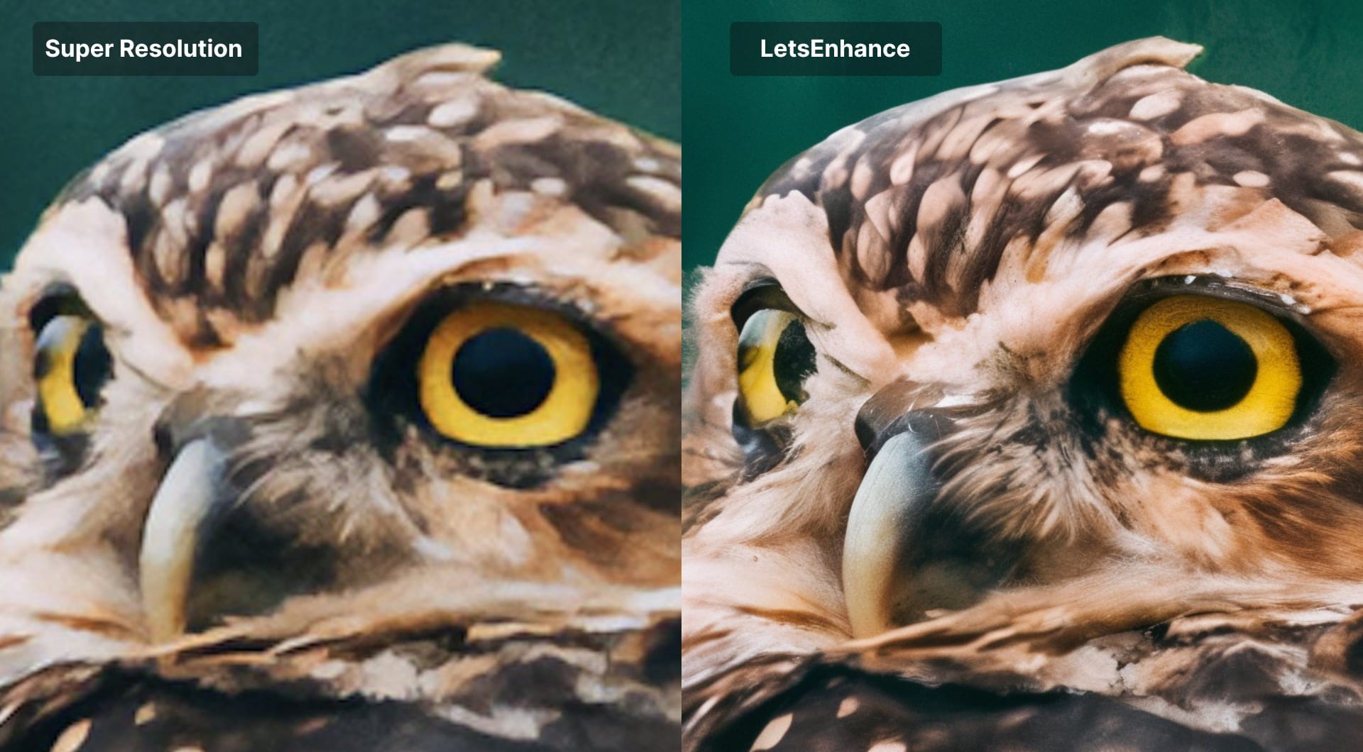Another comparison between Super Resolution and LetsEnhance results