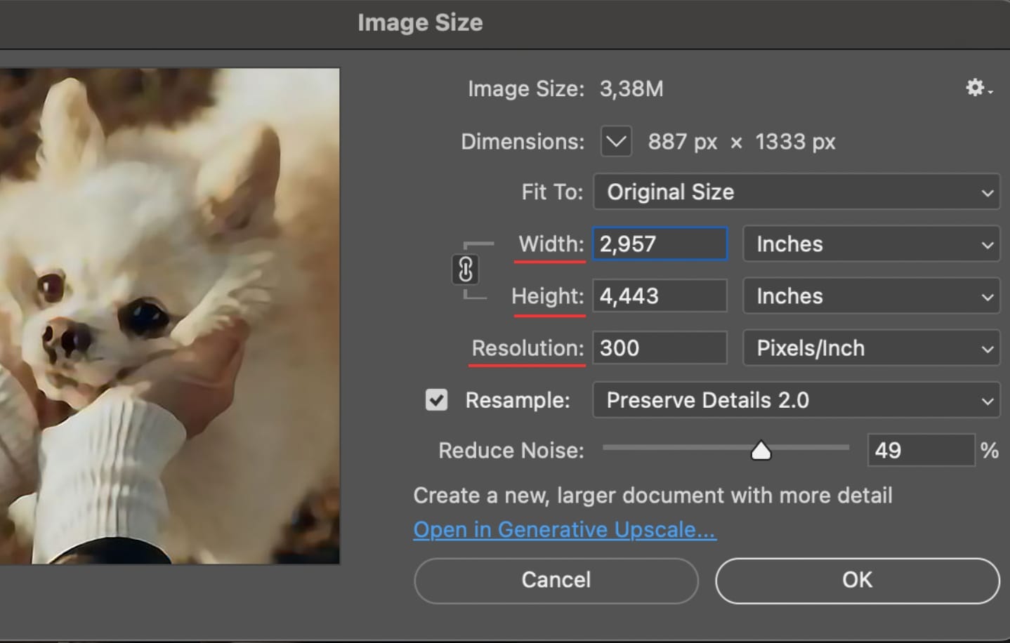 Photoshop Image Size dialog adjusting resolution for small dog photo