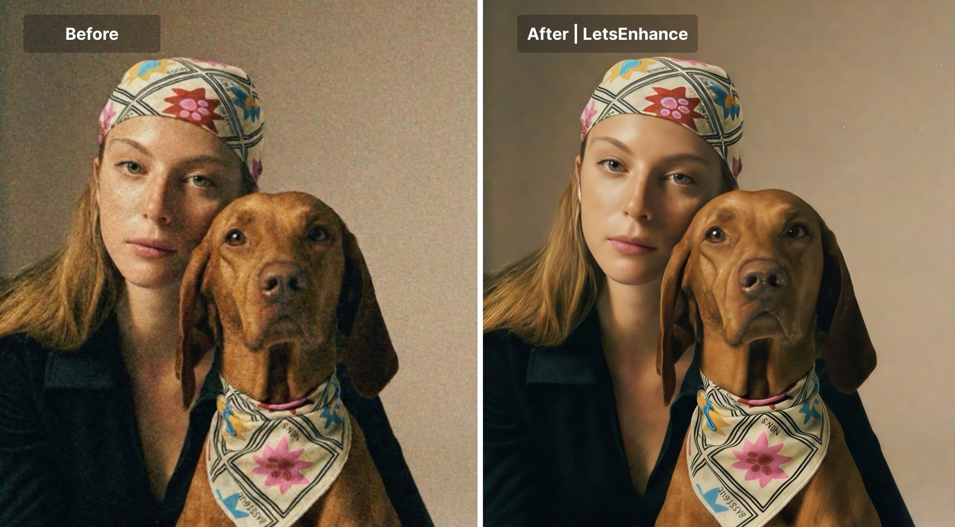 Before-and-after portrait denoising with LetsEnhance on woman and dog.