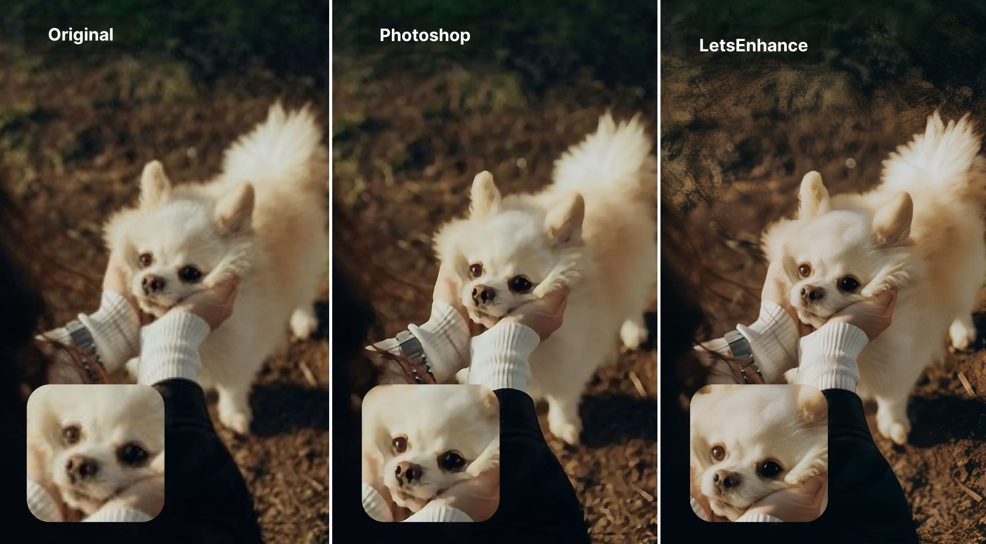 Comparison of Photoshop and LetsEnhance upscaling results