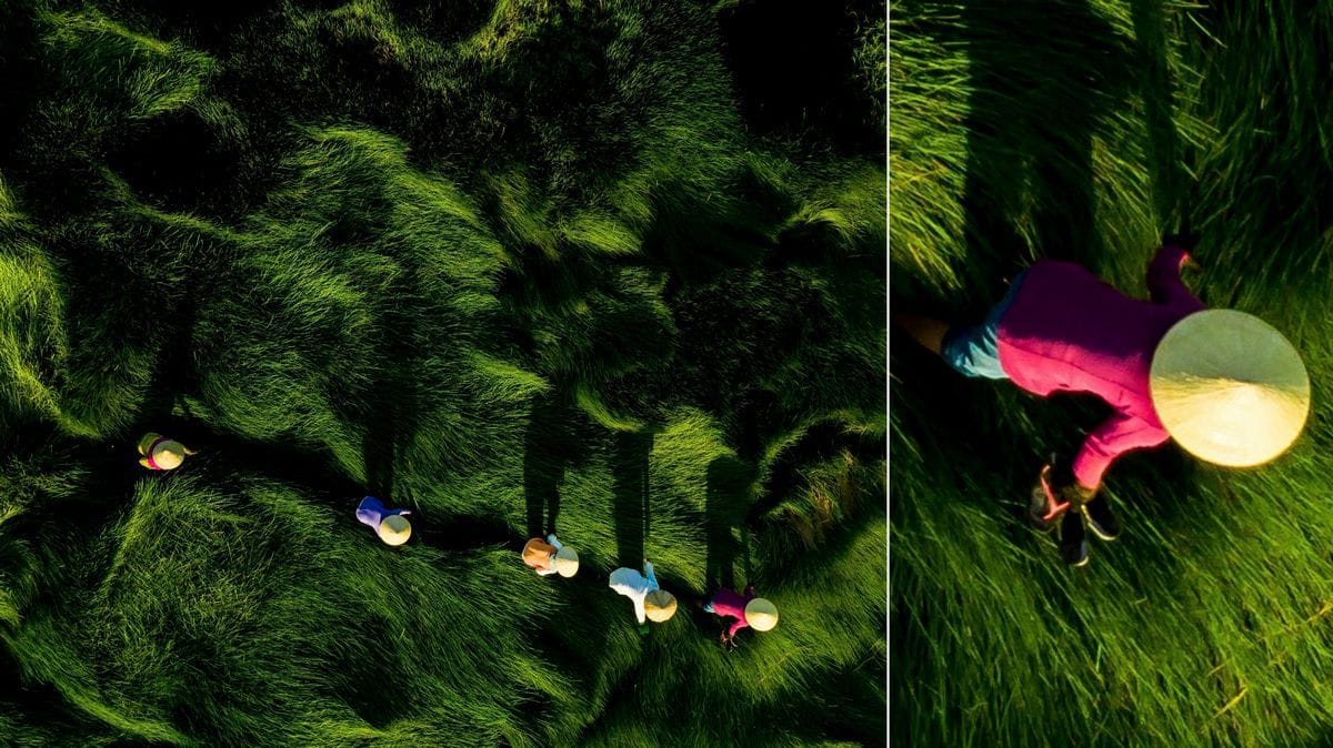 Print test photo and close crop before upscaling