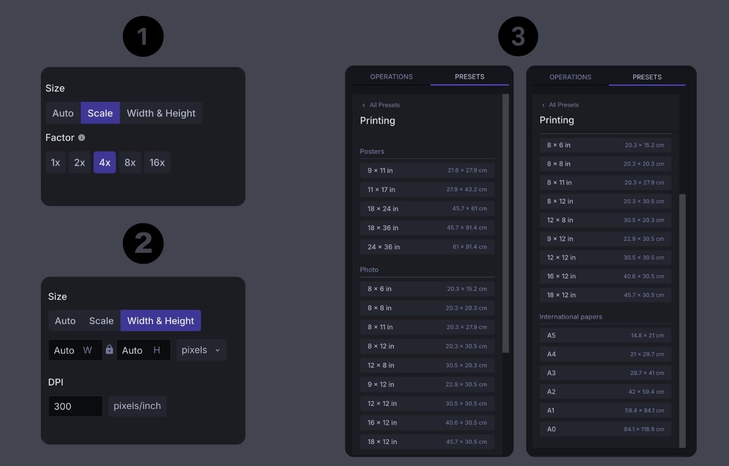 Settings panel showing scale factor, dimensions, DPI, and printing presets