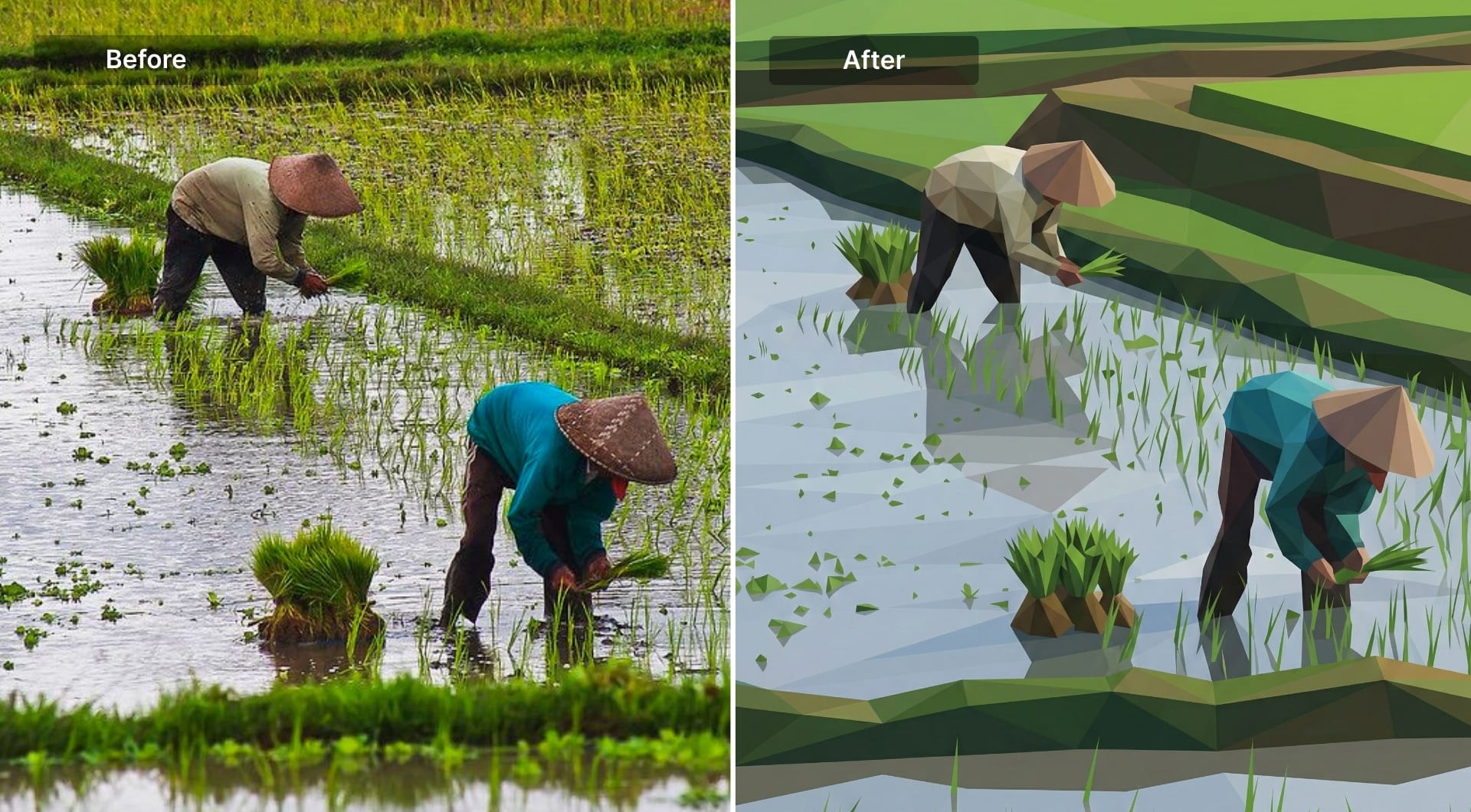 Rice field transformed into low-poly 3D render