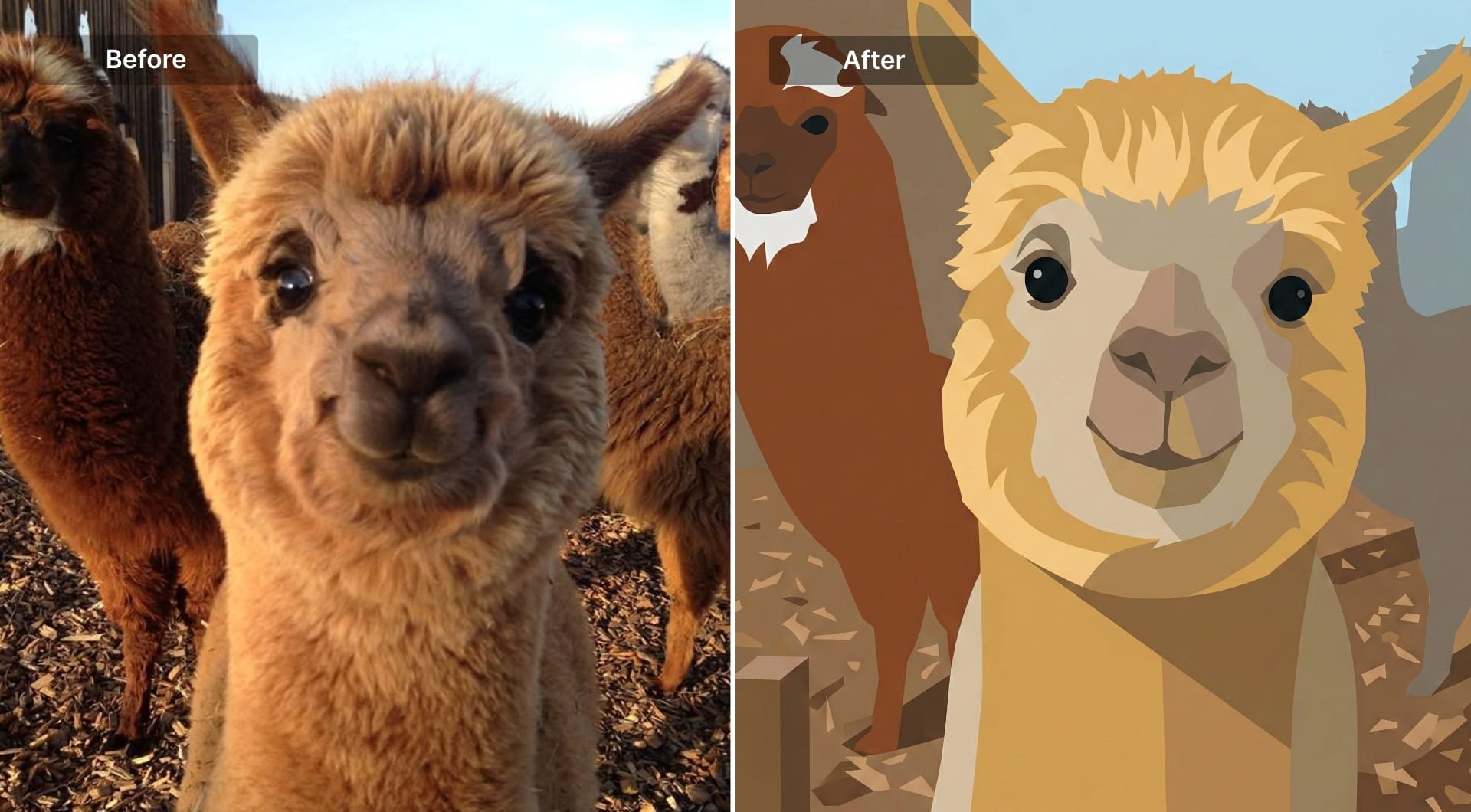 Alpace scene simplified into vector flat illustration