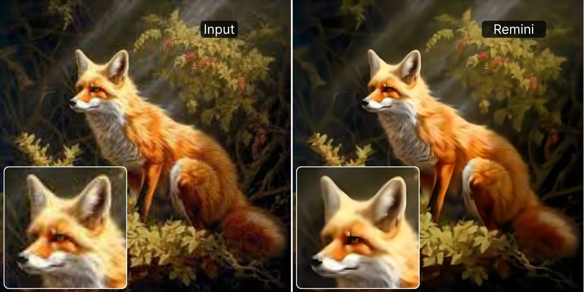 Fox illustration before and after Remini enhancement