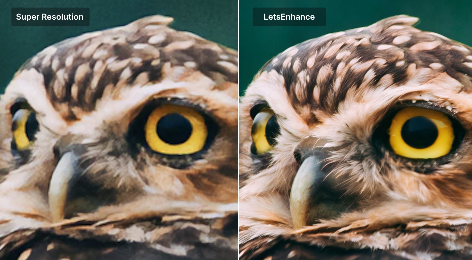 Another comparison between Super Resolution and LetsEnhance results