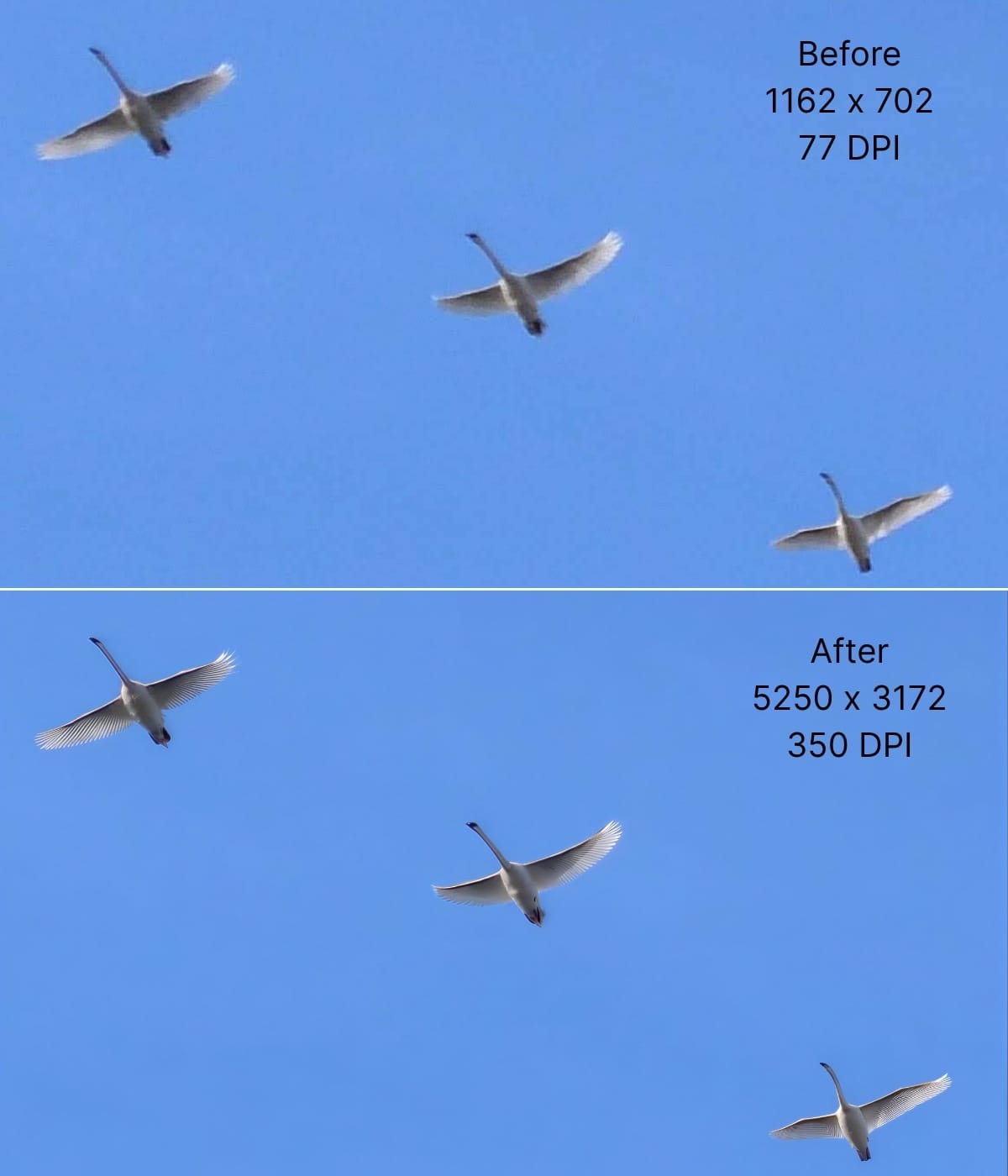 Before and after comparison of image resolution for print quality