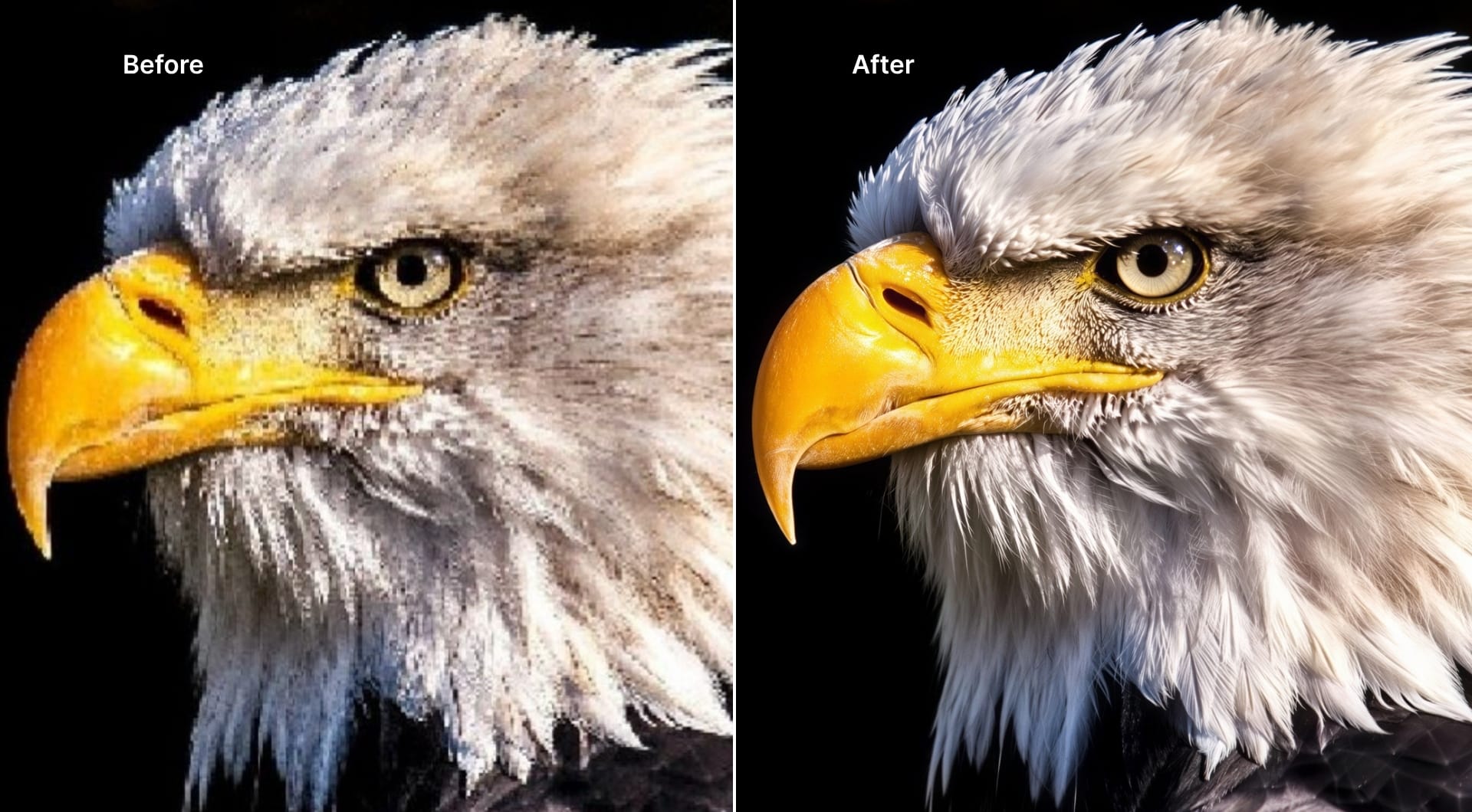 Before and after of zoomed-in cropped image after depixelation