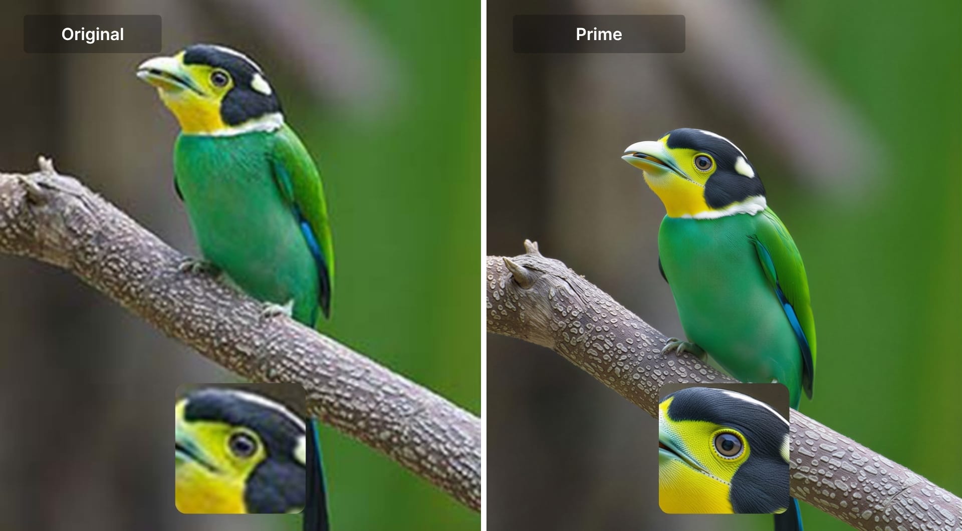 Comparison between original JPEG and LetsEnhance AI-restored version