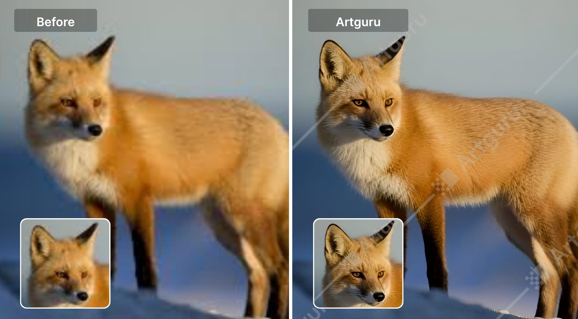 Before and after fox image enhanced using Artguru