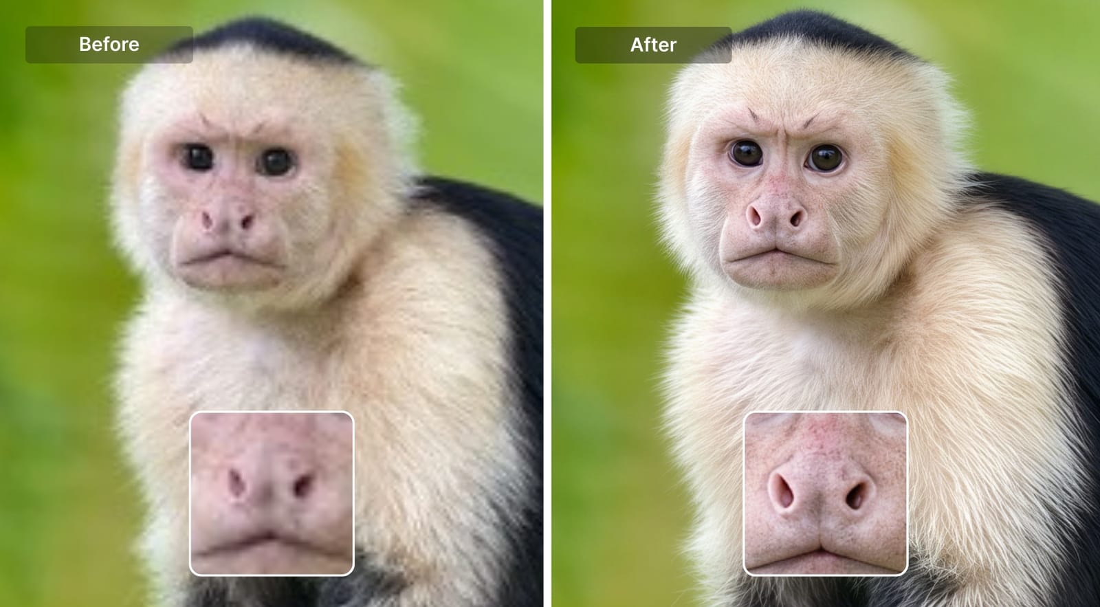 How to enhance images with an API: fix blur, noise & artifacts