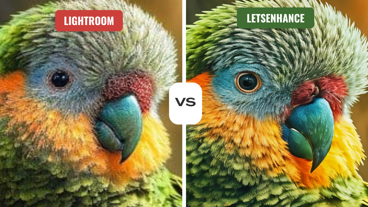 LetsEnhance vs. Lightroom Super Resolution: AI Upscalers Tested & Compared