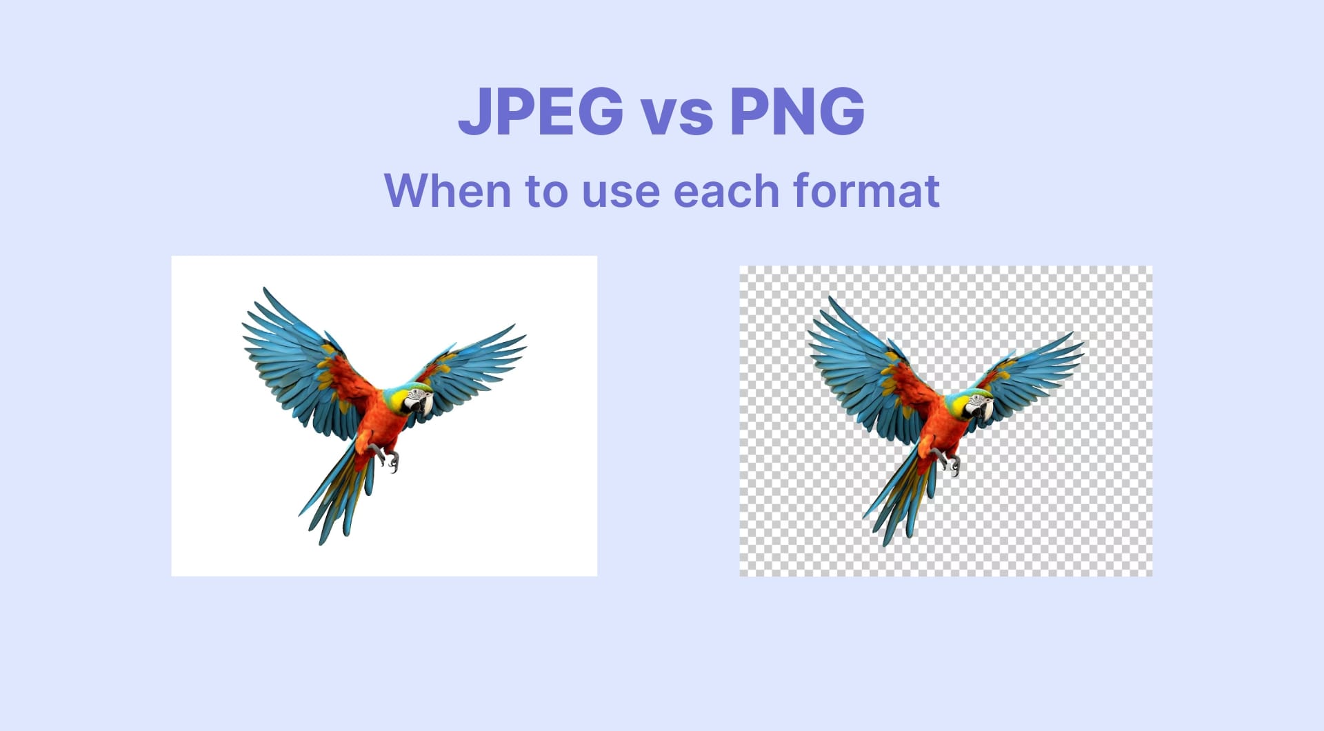 JPEG or PNG: When to use each format for web, print, and photography (2025)