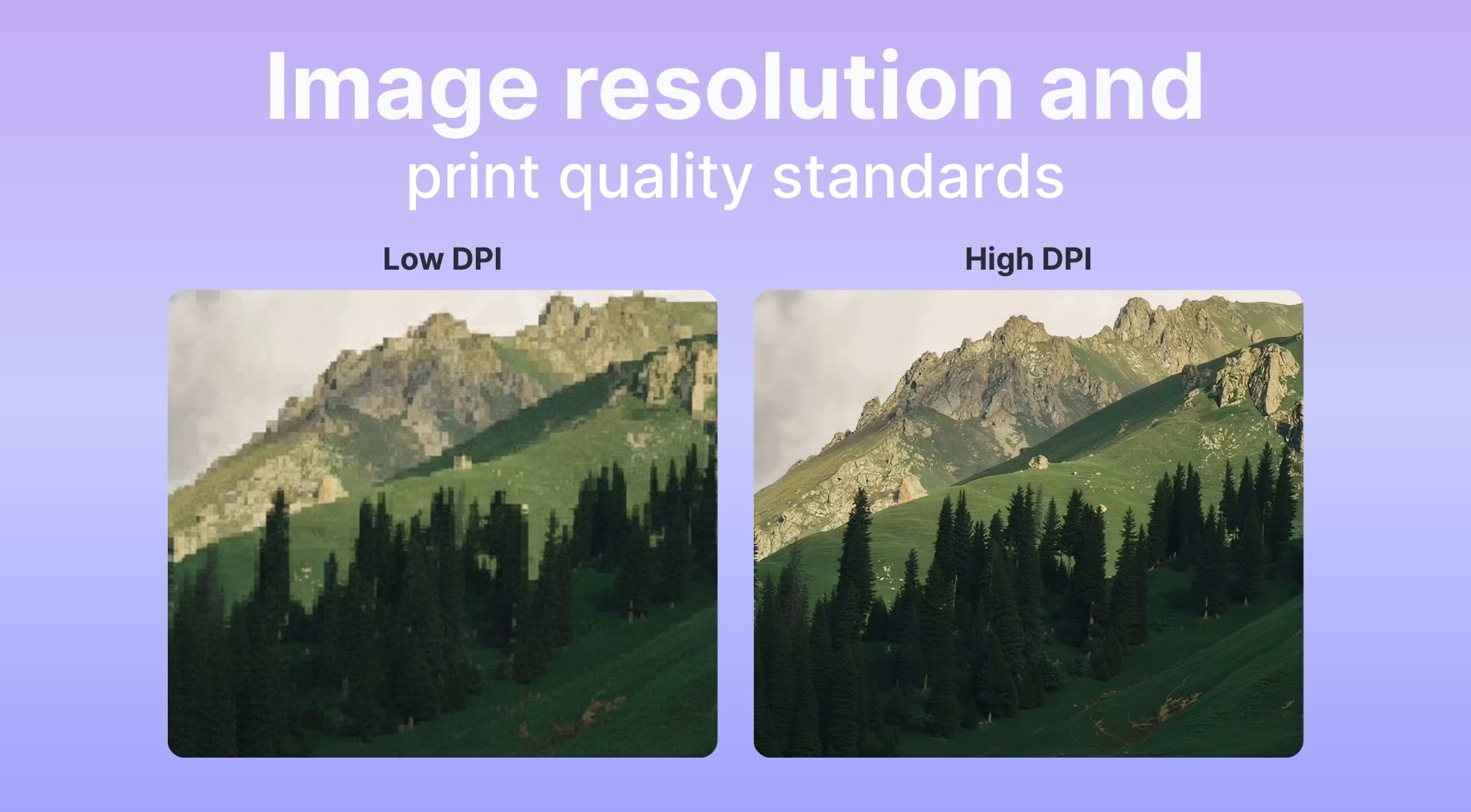 Image resolution and print quality standards: a sourced reference