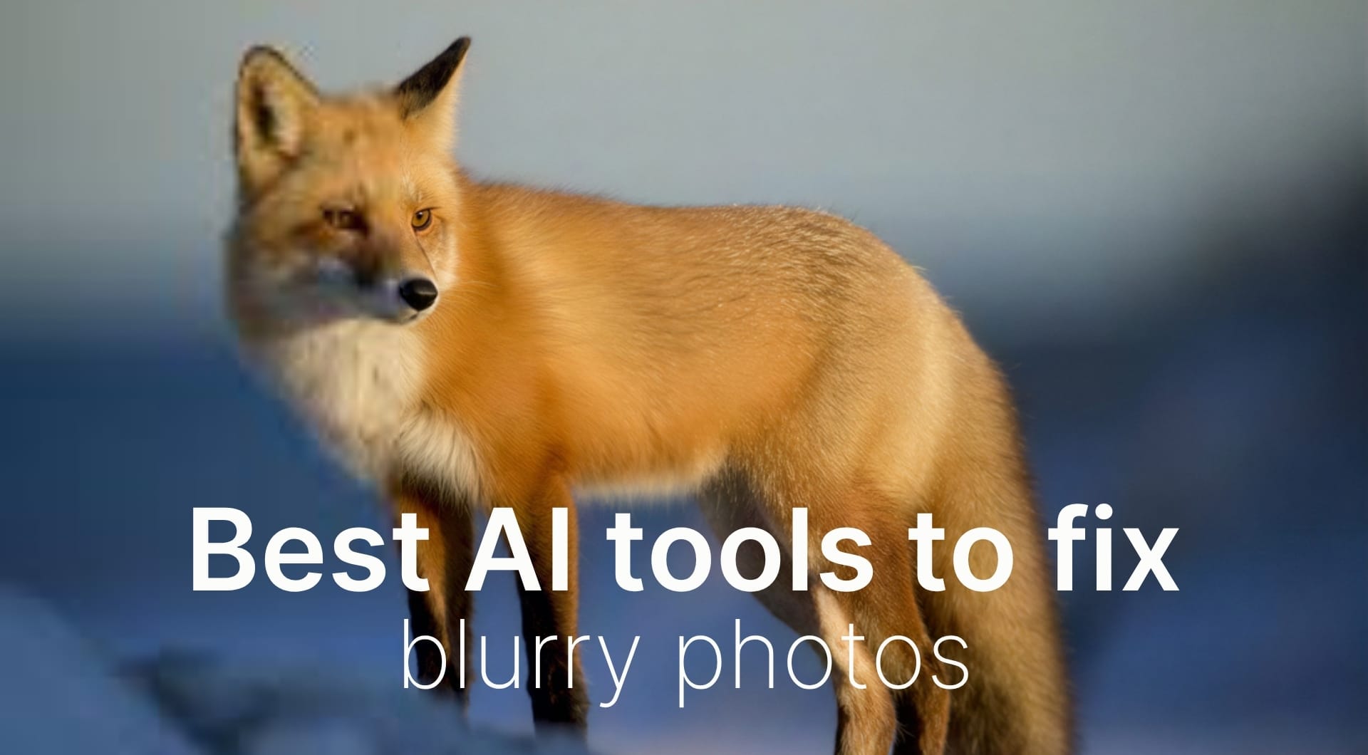 Best AI tools to unblur images: 2025 comparison with examples