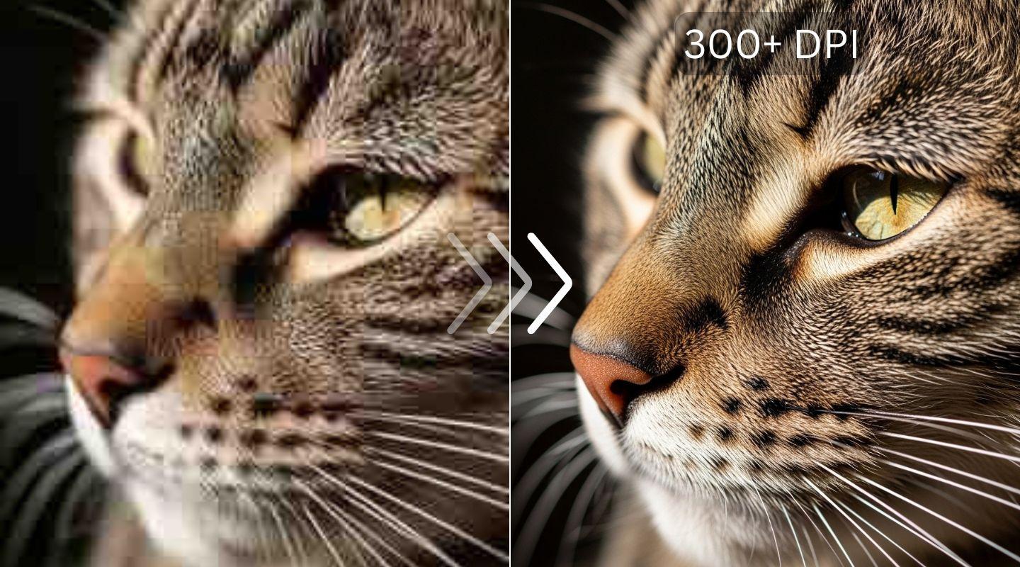 Image before processing with LetsEnhance