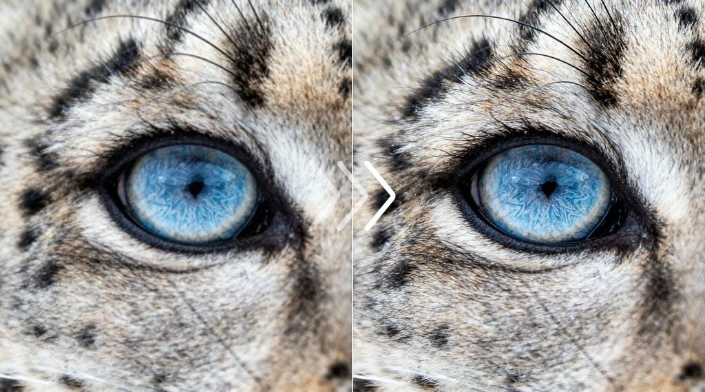 AI HD image converter to 4K & 1080p. Try free | LetsEnhance