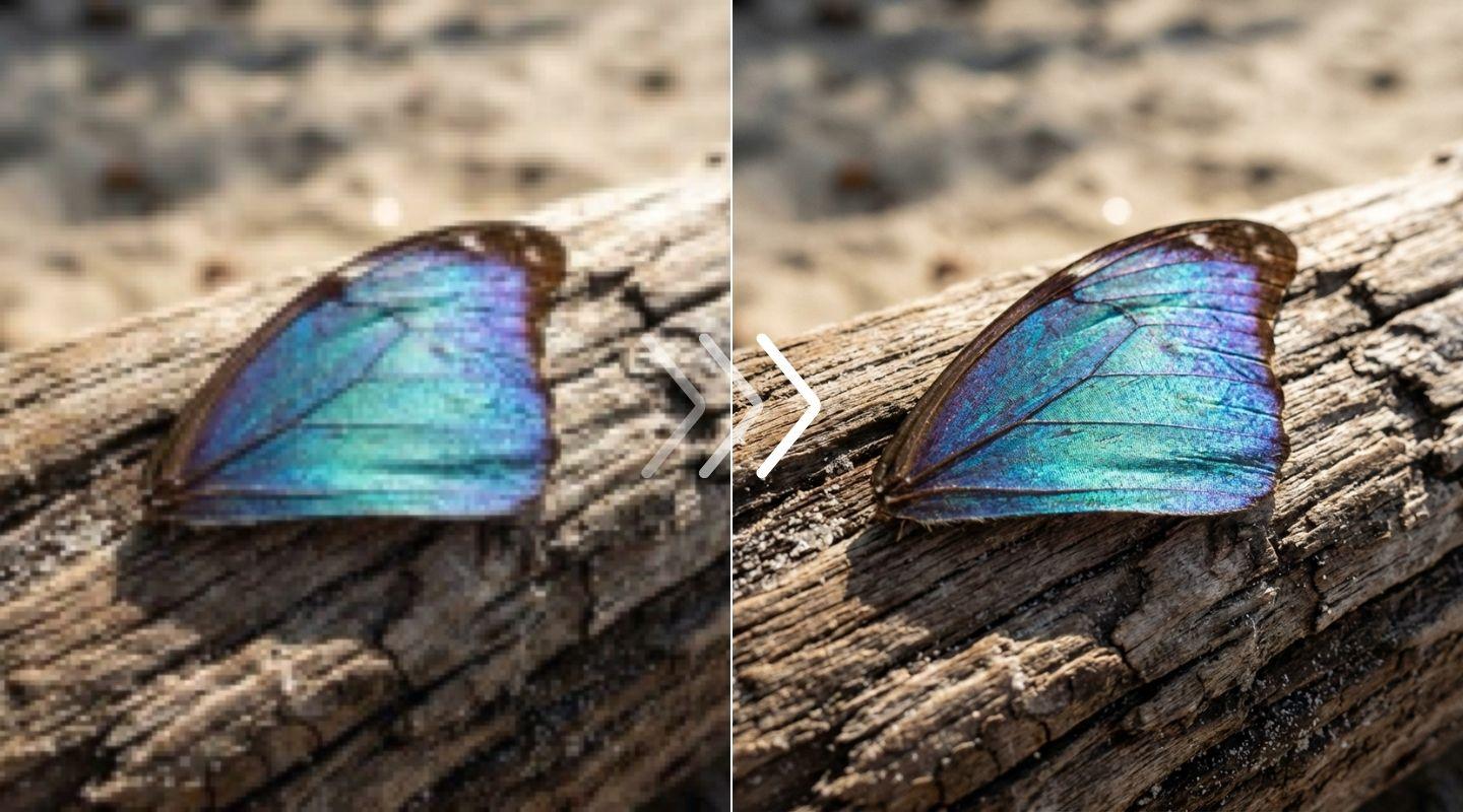 Macro nature photography comparison showing recovery of fine textures without over-sharpening